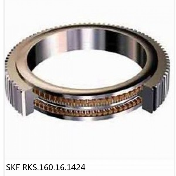 RKS.160.16.1424 SKF Slewing Ring Bearings