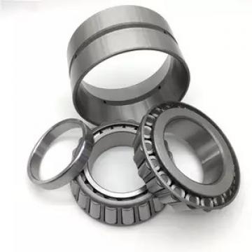 65 mm x 120 mm x 31 mm  SKF NJ 2213 ECP  Cylindrical Roller Bearings