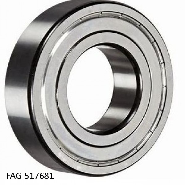 517681 FAG Cylindrical Roller Bearings #1 small image