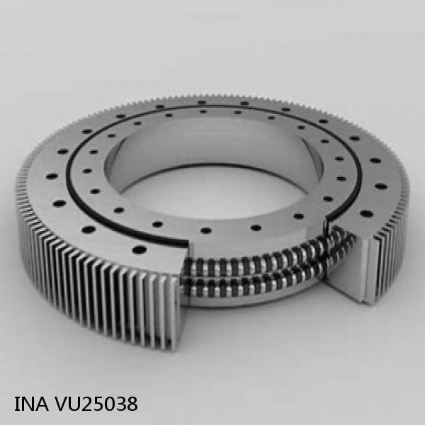 VU25038 INA Slewing Ring Bearings #1 small image