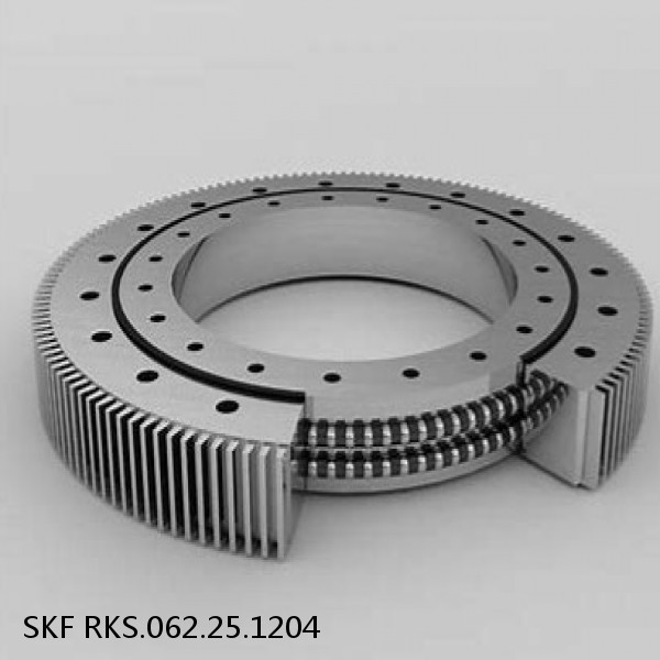 RKS.062.25.1204 SKF Slewing Ring Bearings