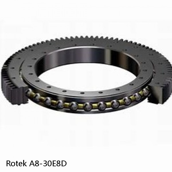 A8-30E8D Rotek Slewing Ring Bearings #1 small image