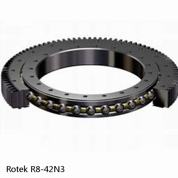 R8-42N3 Rotek Slewing Ring Bearings #1 small image
