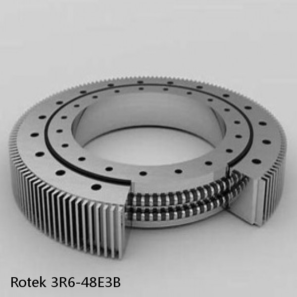 3R6-48E3B Rotek Slewing Ring Bearings