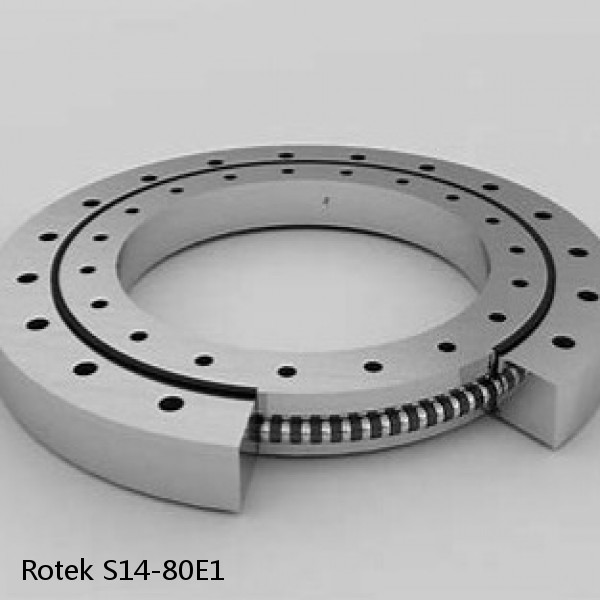 S14-80E1 Rotek Slewing Ring Bearings