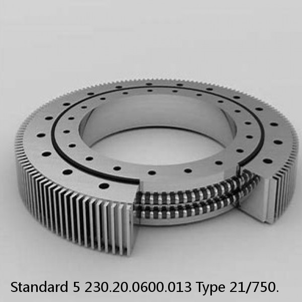 230.20.0600.013 Type 21/750. Standard 5 Slewing Ring Bearings #1 small image