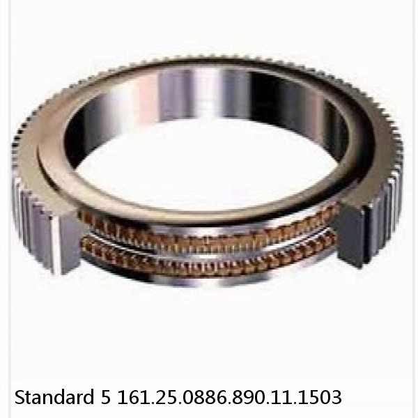161.25.0886.890.11.1503 Standard 5 Slewing Ring Bearings #1 small image