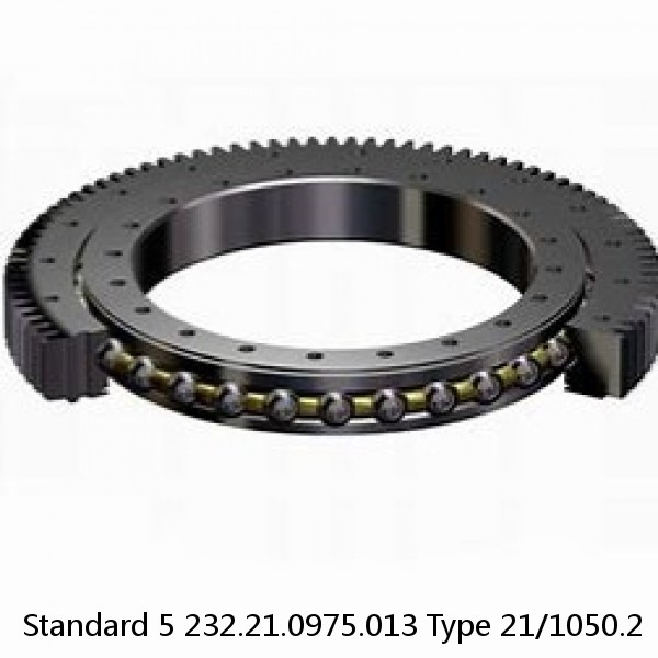 232.21.0975.013 Type 21/1050.2 Standard 5 Slewing Ring Bearings #1 small image