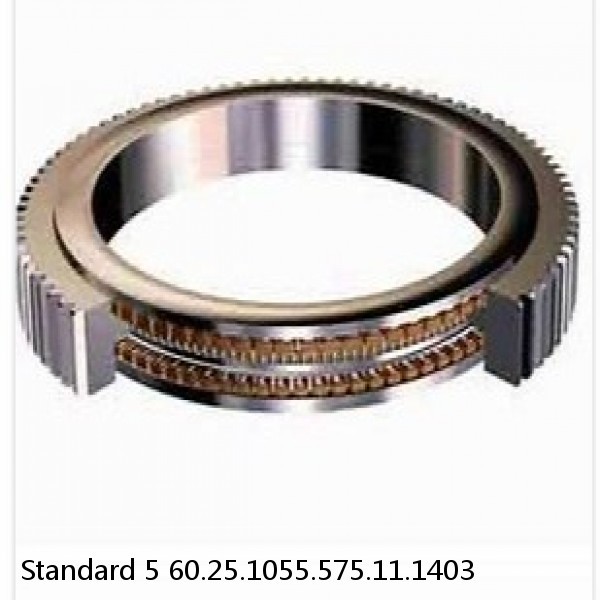 60.25.1055.575.11.1403 Standard 5 Slewing Ring Bearings