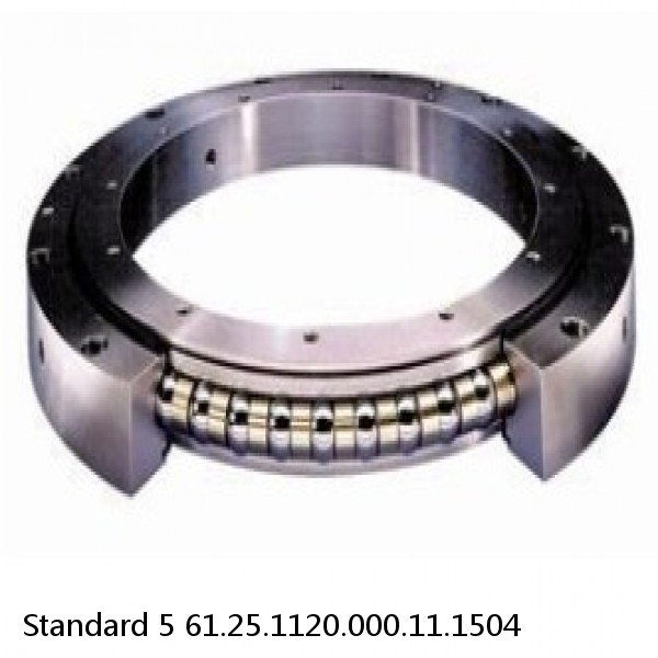 61.25.1120.000.11.1504 Standard 5 Slewing Ring Bearings #1 small image