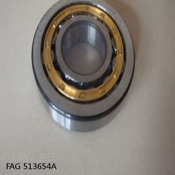 513654A FAG Cylindrical Roller Bearings #1 small image