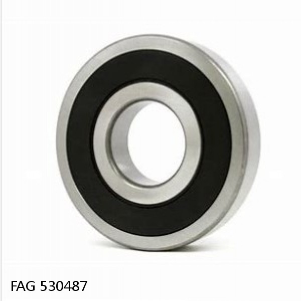 530487 FAG Cylindrical Roller Bearings #1 small image