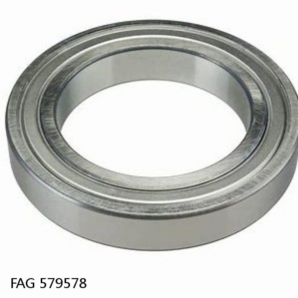 579578 FAG Cylindrical Roller Bearings #1 small image
