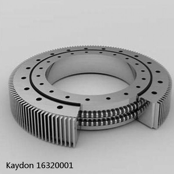 16320001 Kaydon Slewing Ring Bearings #1 image