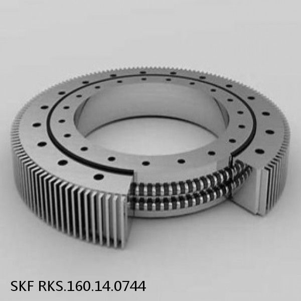 RKS.160.14.0744 SKF Slewing Ring Bearings #1 image