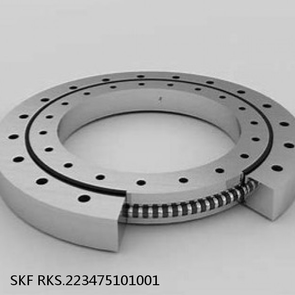 RKS.223475101001 SKF Slewing Ring Bearings #1 image