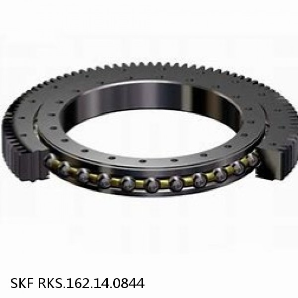 RKS.162.14.0844 SKF Slewing Ring Bearings #1 image