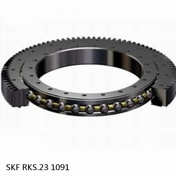 RKS.23 1091 SKF Slewing Ring Bearings #1 image