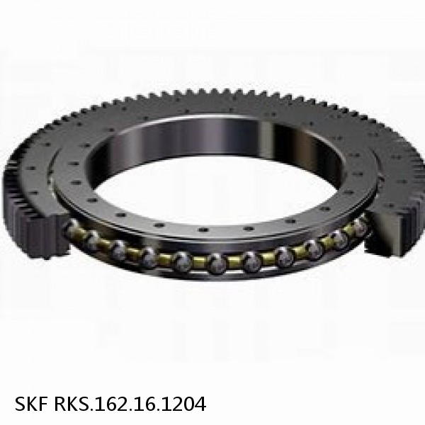 RKS.162.16.1204 SKF Slewing Ring Bearings #1 image