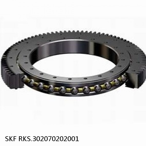 RKS.302070202001 SKF Slewing Ring Bearings #1 image