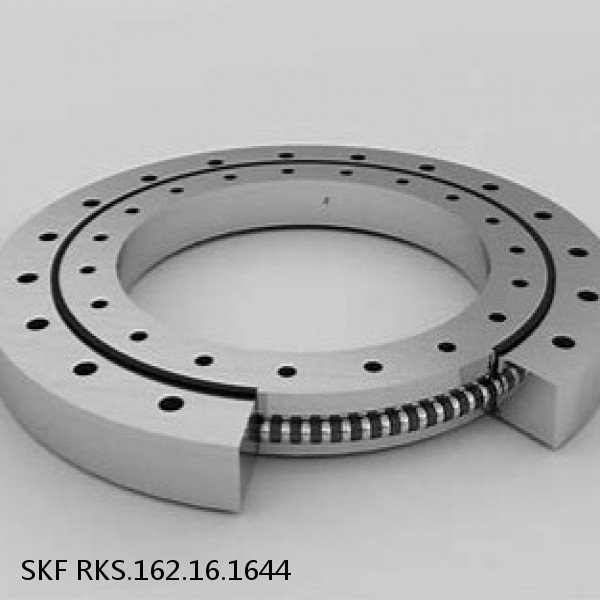 RKS.162.16.1644 SKF Slewing Ring Bearings #1 image