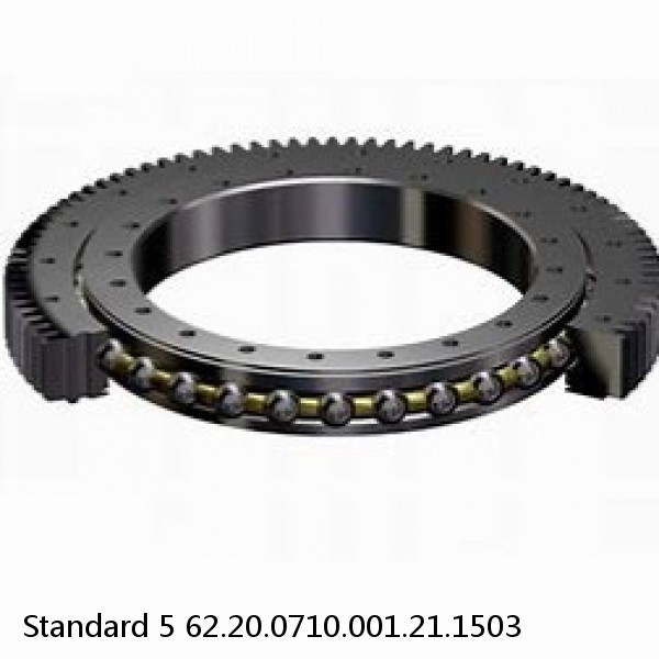 62.20.0710.001.21.1503 Standard 5 Slewing Ring Bearings #1 image