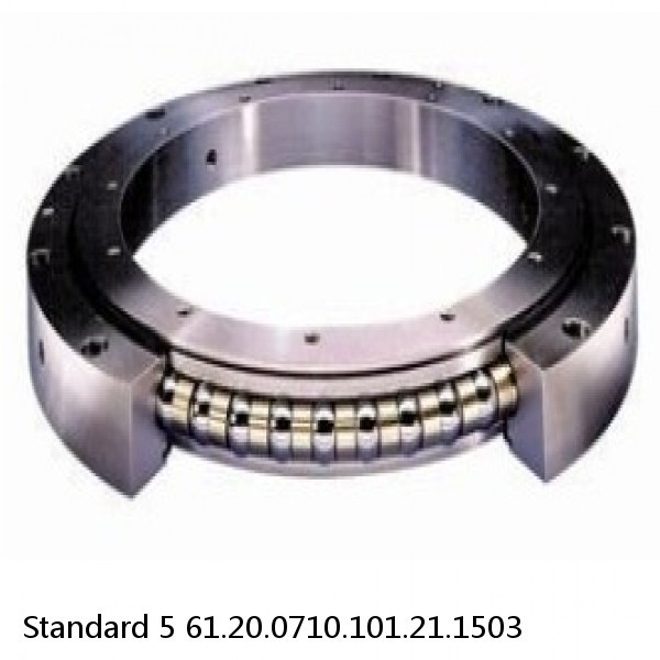 61.20.0710.101.21.1503 Standard 5 Slewing Ring Bearings #1 image