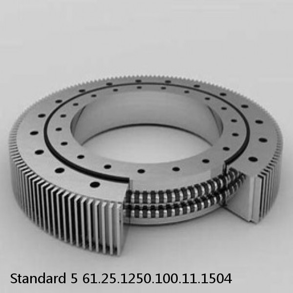 61.25.1250.100.11.1504 Standard 5 Slewing Ring Bearings #1 image
