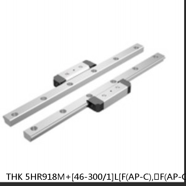 5HR918M+[46-300/1]L[F(AP-C),​F(AP-CF),​F(AP-HC)]M THK Separated Linear Guide Side Rails Set Model HR #1 image