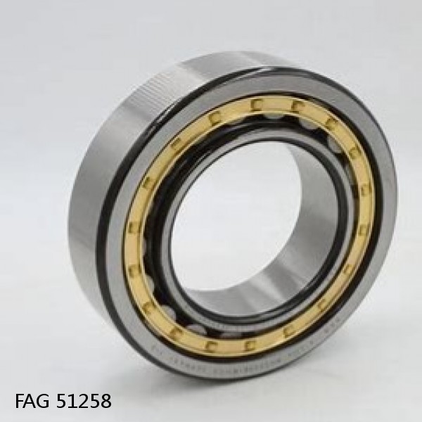 51258 FAG Cylindrical Roller Bearings #1 image