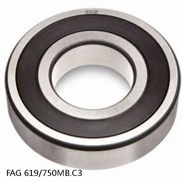 619/750MB.C3 FAG Deep Groove Ball Bearings #1 image