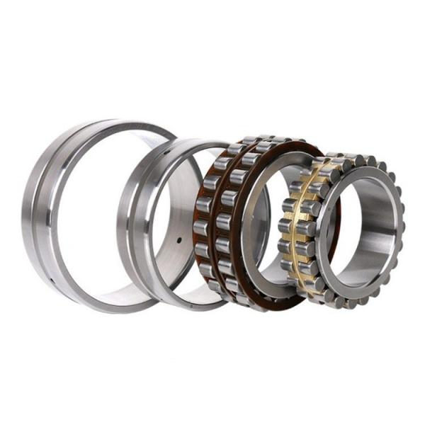 55 x 3.937 Inch | 100 Millimeter x 0.827 Inch | 21 Millimeter  NSK NF211W  Cylindrical Roller Bearings #2 image
