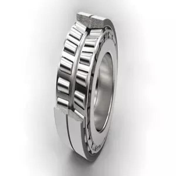 65 mm x 120 mm x 31 mm  SKF NJ 2213 ECP  Cylindrical Roller Bearings #1 image